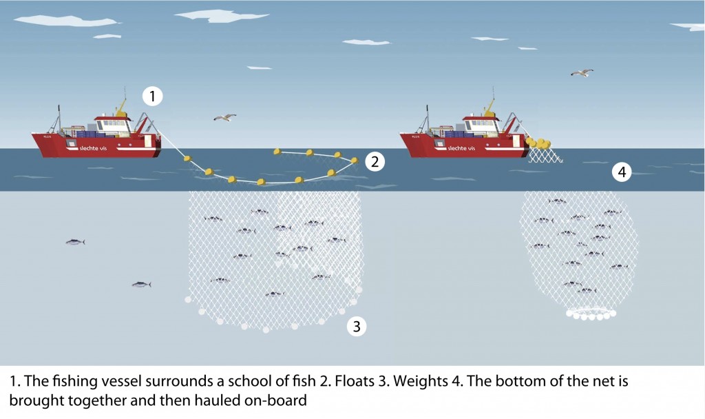 Fishing methods – Human Impacts On The Ocean